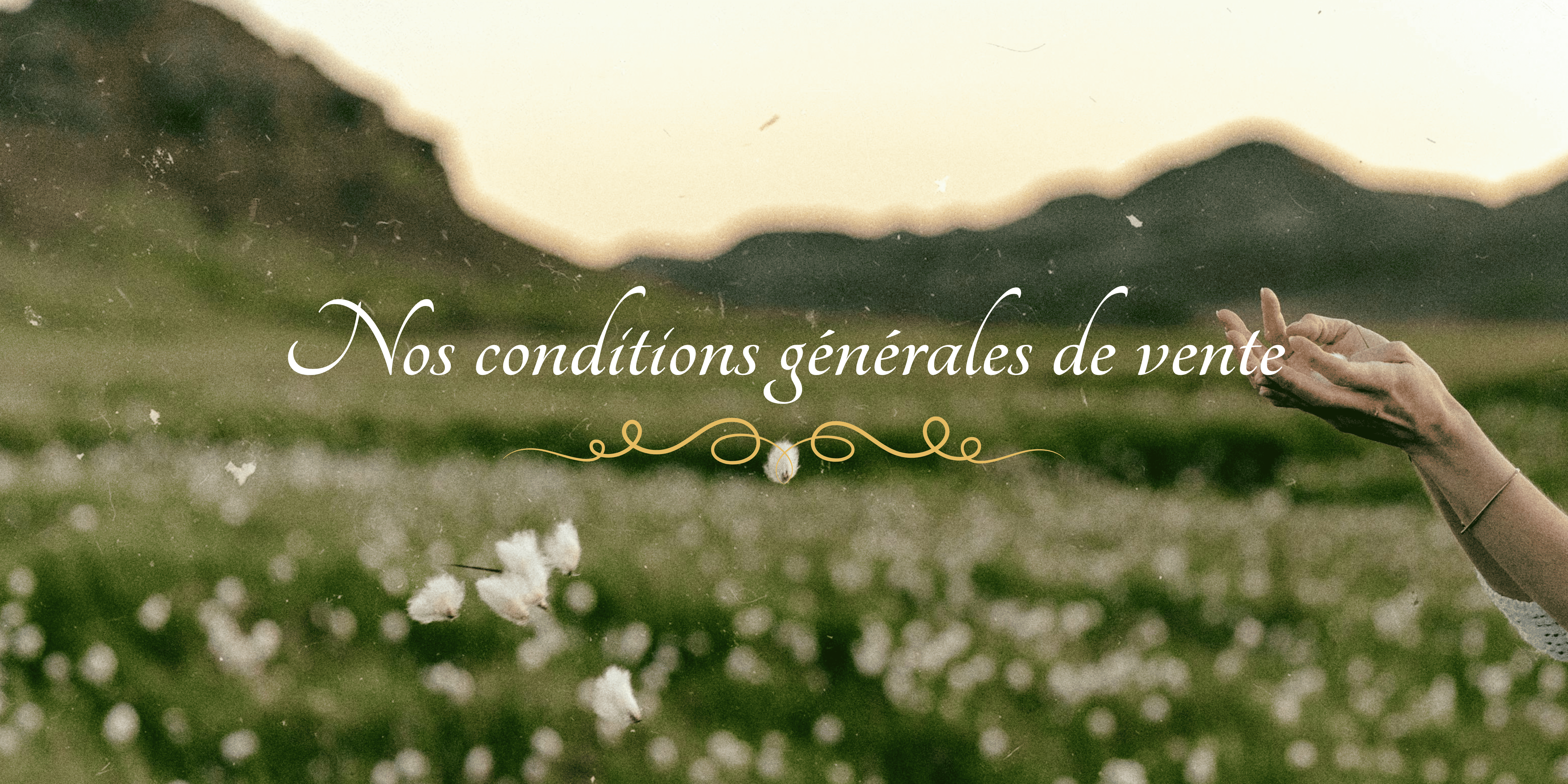 nos-conditions-generales-vente-dapsneo